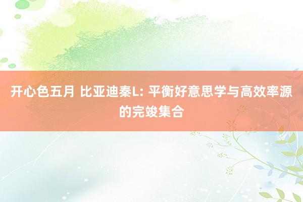 开心色五月 比亚迪秦L: 平衡好意思学与高效率源的完竣集合