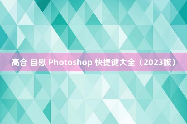 高合 自慰 Photoshop 快捷键大全（2023版）