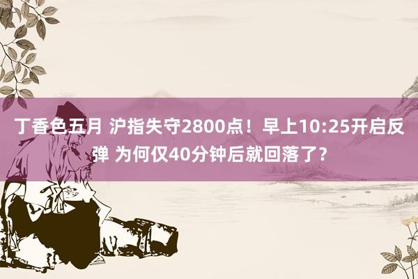 丁香色五月 沪指失守2800点！早上10:25开启反弹 为何仅40分钟后就回落了？