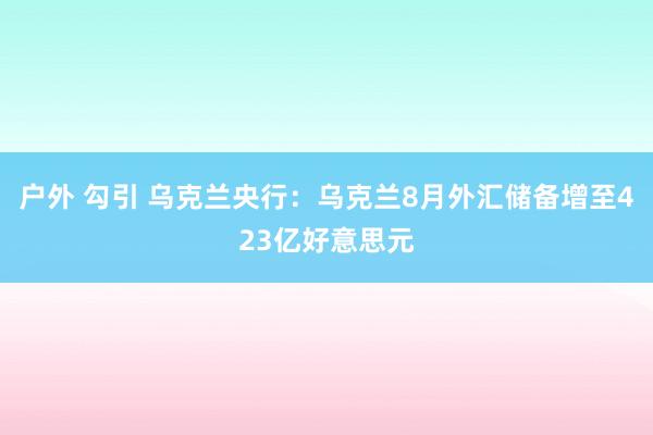 户外 勾引 乌克兰央行：乌克兰8月外汇储备增至423亿好意思元