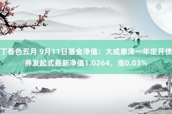 丁香色五月 9月11日基金净值：大成惠泽一年定开债券发起式最新净值1.0264，涨0.03%