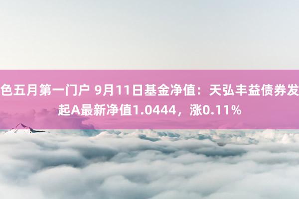 色五月第一门户 9月11日基金净值：天弘丰益债券发起A最新净值1.0444，涨0.11%