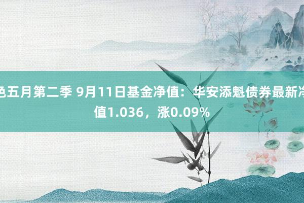 色五月第二季 9月11日基金净值：华安添魁债券最新净值1.036，涨0.09%