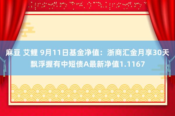 麻豆 艾鲤 9月11日基金净值：浙商汇金月享30天飘浮握有中短债A最新净值1.1167