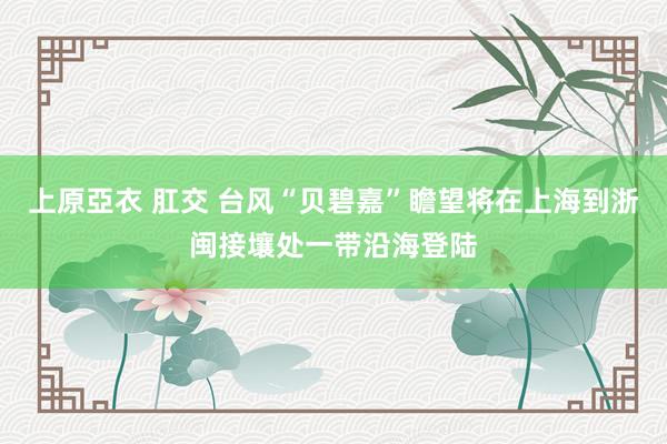 上原亞衣 肛交 台风“贝碧嘉”瞻望将在上海到浙闽接壤处一带沿海登陆