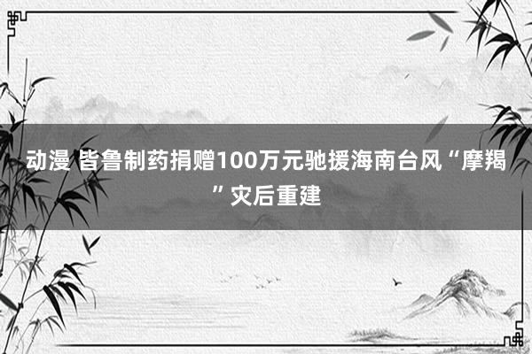 动漫 皆鲁制药捐赠100万元驰援海南台风“摩羯”灾后重建