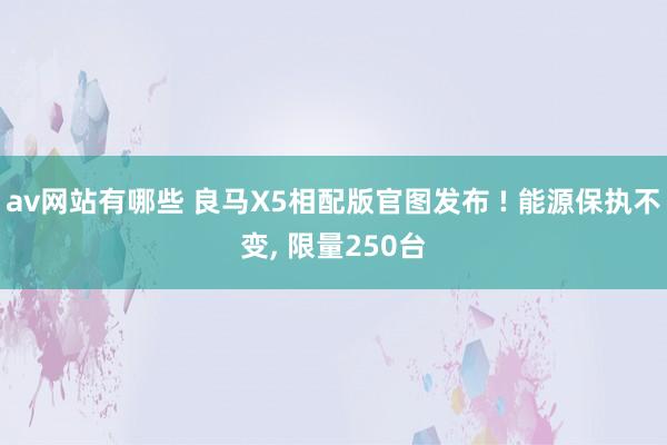 av网站有哪些 良马X5相配版官图发布 ! 能源保执不变， 限量250台