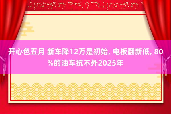 开心色五月 新车降12万是初始， 电板翻新低， 80%的油车抗不外2025年