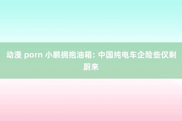 动漫 porn 小鹏拥抱油箱: 中国纯电车企险些仅剩蔚来