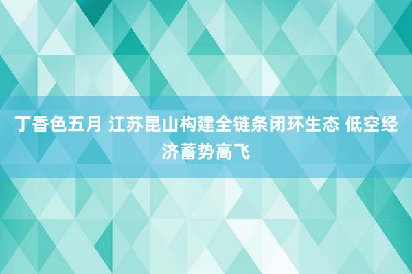 丁香色五月 江苏昆山构建全链条闭环生态 低空经济蓄势高飞