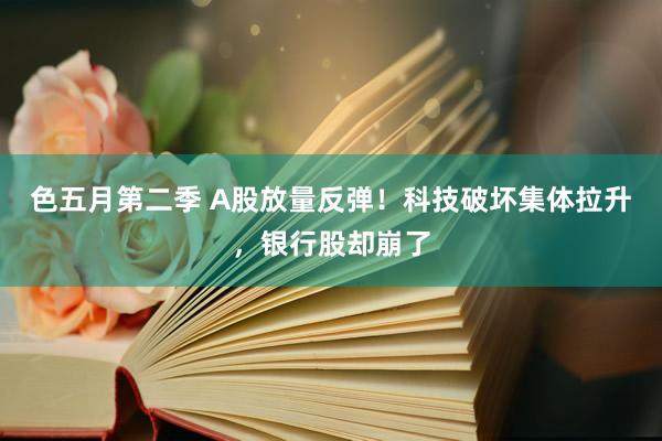 色五月第二季 A股放量反弹！科技破坏集体拉升，银行股却崩了