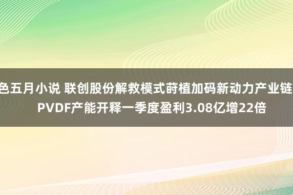 色五月小说 联创股份解救模式莳植加码新动力产业链    PVDF产能开释一季度盈利3.08亿增22倍