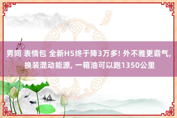 男同 表情包 全新H5终于降3万多! 外不雅更霸气， 换装混动能源， 一箱油可以跑1350公里