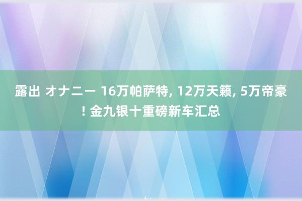 露出 オナニー 16万帕萨特， 12万天籁， 5万帝豪! 金九银十重磅新车汇总