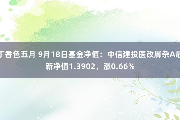 丁香色五月 9月18日基金净值：中信建投医改羼杂A最新净值1.3902，涨0.66%