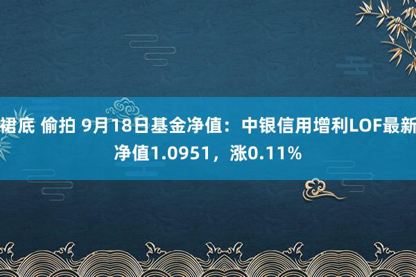 裙底 偷拍 9月18日基金净值：中银信用增利LOF最新净值1.0951，涨0.11%