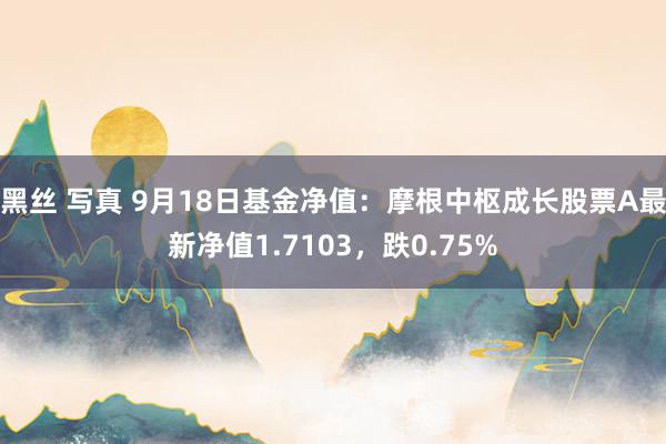 黑丝 写真 9月18日基金净值：摩根中枢成长股票A最新净值1.7103，跌0.75%