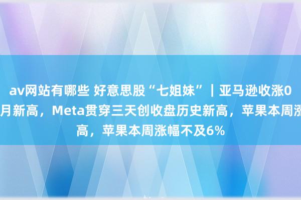 av网站有哪些 好意思股“七姐妹”｜亚马逊收涨0.9%创两个月新高，Meta贯穿三天创收盘历史新高，苹果本周涨幅不及6%