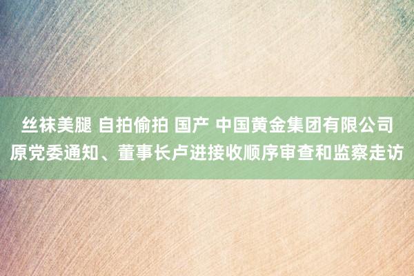 丝袜美腿 自拍偷拍 国产 中国黄金集团有限公司原党委通知、董事长卢进接收顺序审查和监察走访