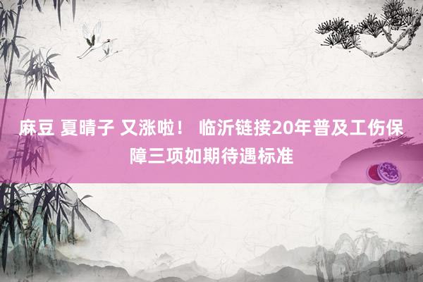 麻豆 夏晴子 又涨啦！ 临沂链接20年普及工伤保障三项如期待遇标准