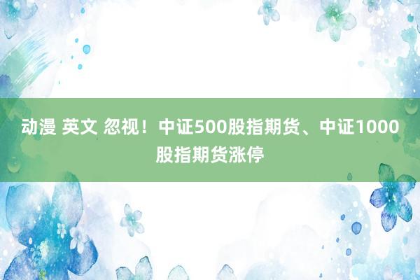 动漫 英文 忽视！中证500股指期货、中证1000股指期货涨停