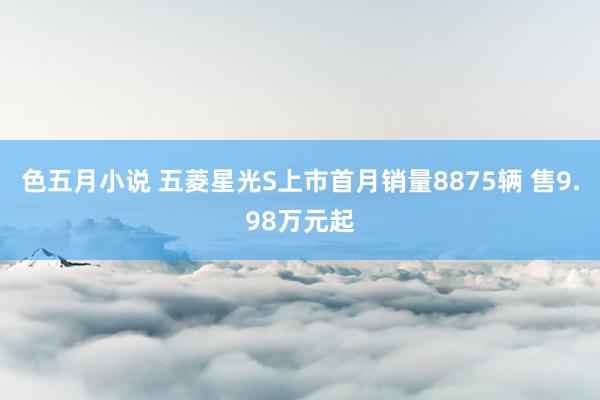 色五月小说 五菱星光S上市首月销量8875辆 售9.98万元起