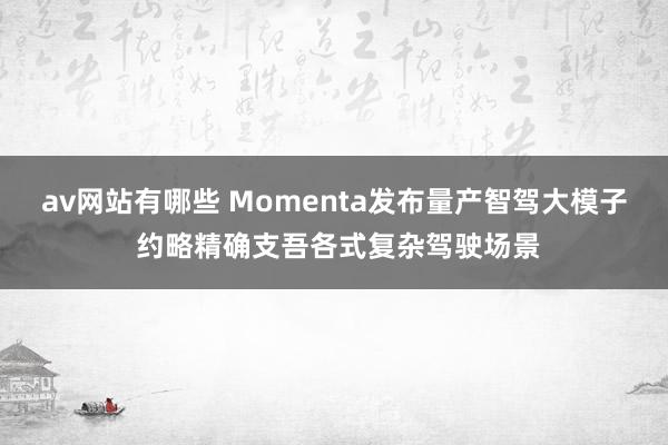 av网站有哪些 Momenta发布量产智驾大模子 约略精确支吾各式复杂驾驶场景