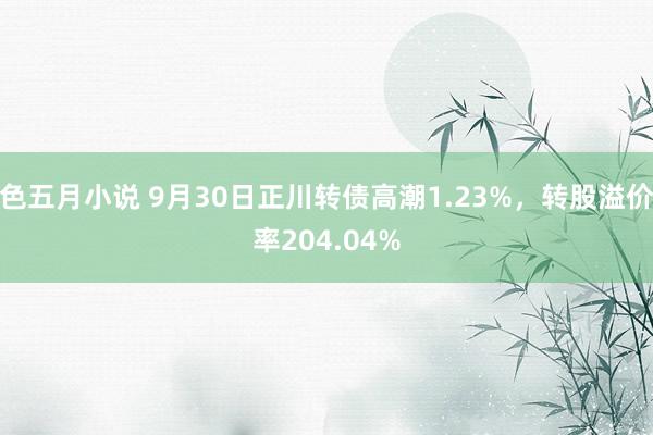 色五月小说 9月30日正川转债高潮1.23%，转股溢价率204.04%