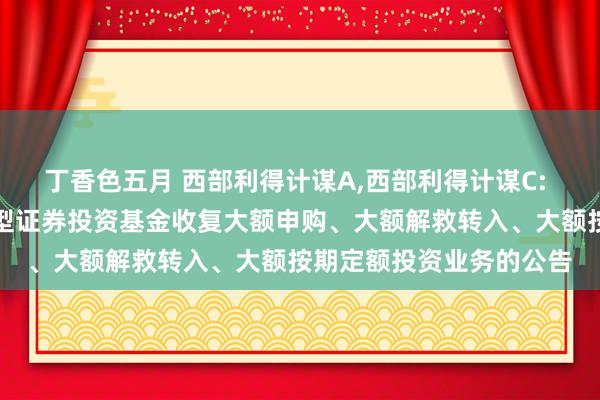 丁香色五月 西部利得计谋A，西部利得计谋C: 西部利得计谋优选羼杂型证券投资基金收复大额申购、大额解救转入、大额按期定额投资业务的公告