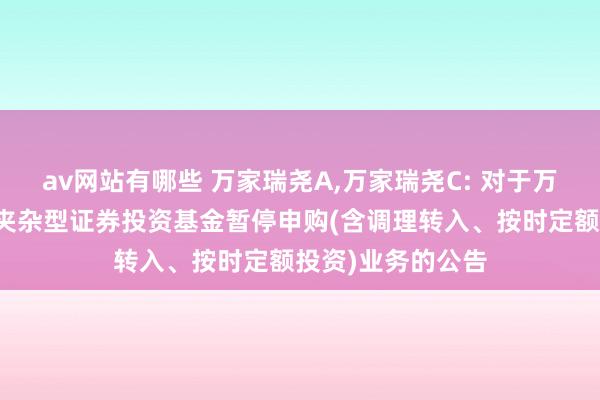 av网站有哪些 万家瑞尧A，万家瑞尧C: 对于万家瑞尧生动树立夹杂型证券投资基金暂停申购(含调理转入、按时定额投资)业务的公告