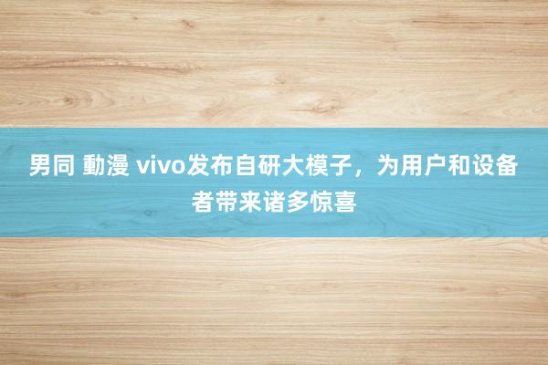 男同 動漫 vivo发布自研大模子，为用户和设备者带来诸多惊喜