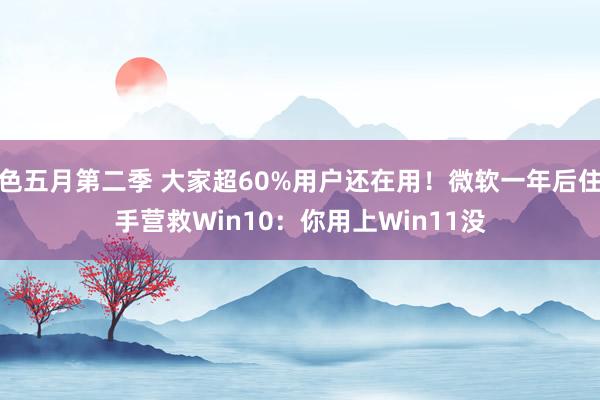 色五月第二季 大家超60%用户还在用！微软一年后住手营救Win10：你用上Win11没