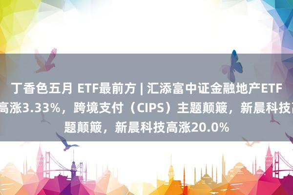 丁香色五月 ETF最前方 | 汇添富中证金融地产ETF(159931)高涨3.33%，跨境支付（CIPS）主题颠簸，新晨科技高涨20.0%