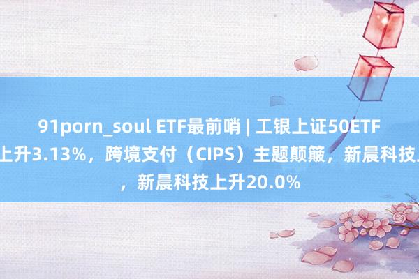 91porn_soul ETF最前哨 | 工银上证50ETF(510850)上升3.13%，跨境支付（CIPS）主题颠簸，新晨科技上升20.0%