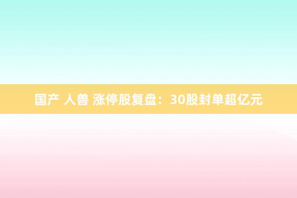 国产 人兽 涨停股复盘：30股封单超亿元