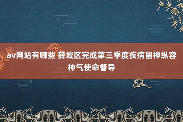 av网站有哪些 薛城区完成第三季度疾病留神纵容神气使命督导