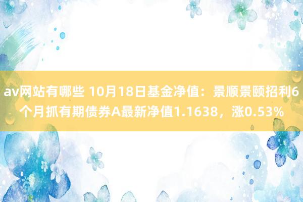 av网站有哪些 10月18日基金净值：景顺景颐招利6个月抓有期债券A最新净值1.1638，涨0.53%