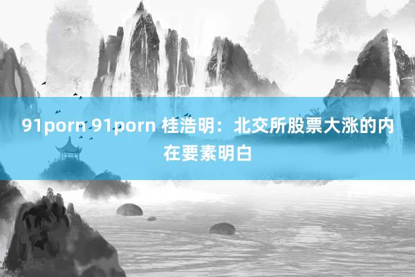 91porn 91porn 桂浩明：北交所股票大涨的内在要素明白