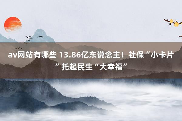 av网站有哪些 13.86亿东说念主！社保“小卡片”托起民生“大幸福”