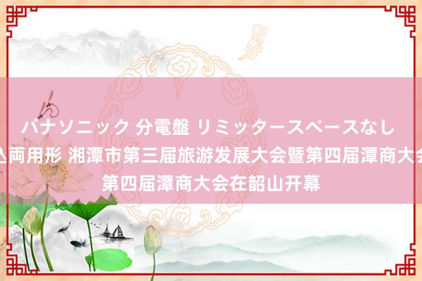 パナソニック 分電盤 リミッタースペースなし 露出・半埋込両用形 湘潭市第三届旅游发展大会暨第四届潭商大会在韶山开幕