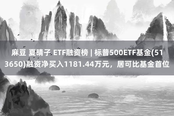 麻豆 夏晴子 ETF融资榜 | 标普500ETF基金(513650)融资净买入1181.44万元，居可比基金首位