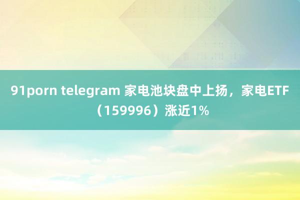 91porn telegram 家电池块盘中上扬，家电ETF（159996）涨近1%