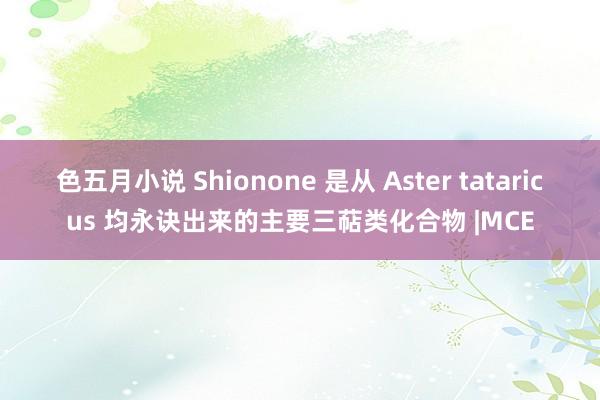 色五月小说 Shionone 是从 Aster tataricus 均永诀出来的主要三萜类化合物 |MCE