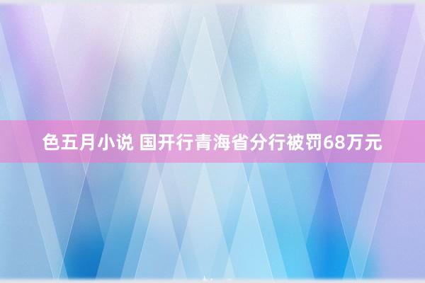 色五月小说 国开行青海省分行被罚68万元