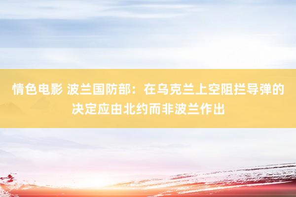 情色电影 波兰国防部：在乌克兰上空阻拦导弹的决定应由北约而非波兰作出