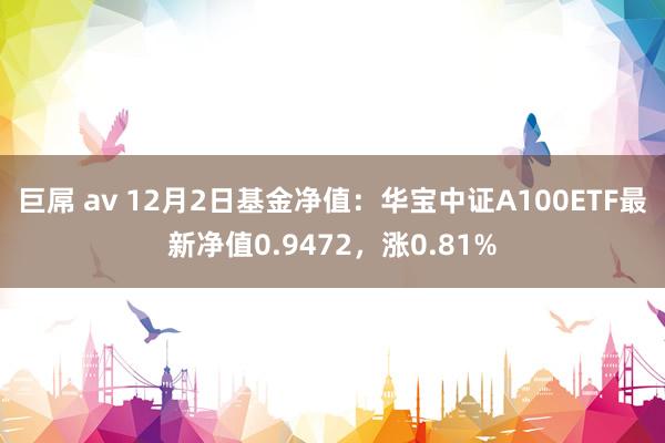 巨屌 av 12月2日基金净值：华宝中证A100ETF最新净值0.9472，涨0.81%