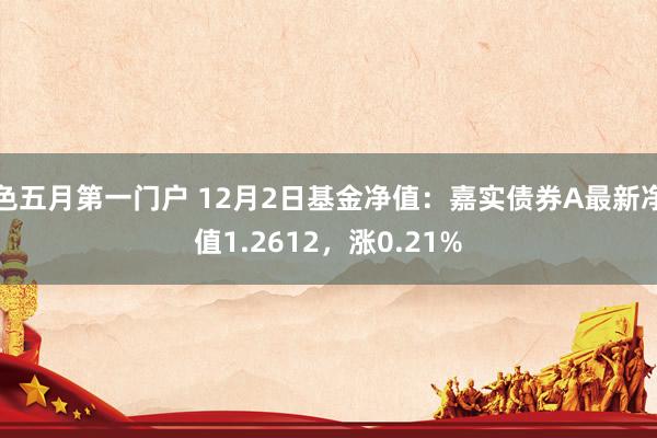 色五月第一门户 12月2日基金净值：嘉实债券A最新净值1.2612，涨0.21%