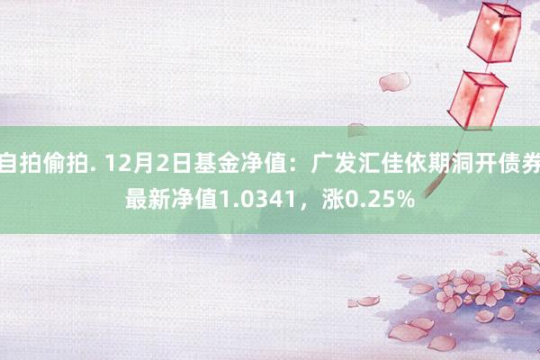 自拍偷拍. 12月2日基金净值：广发汇佳依期洞开债券最新净值1.0341，涨0.25%