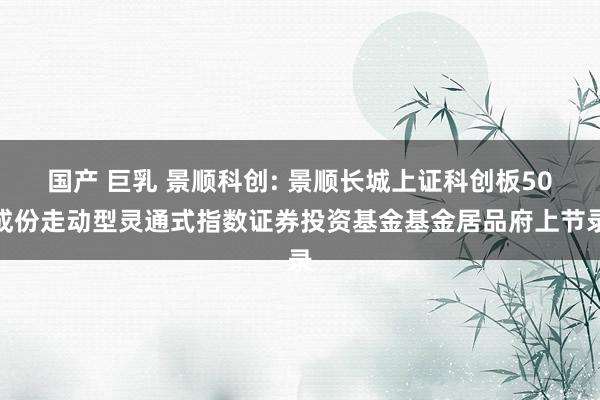 国产 巨乳 景顺科创: 景顺长城上证科创板50成份走动型灵通式指数证券投资基金基金居品府上节录