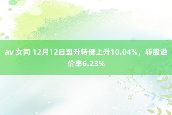 av 女同 12月12日盟升转债上升10.04%，转股溢价率6.23%